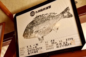 自らも釣り好きのご主人の魚拓